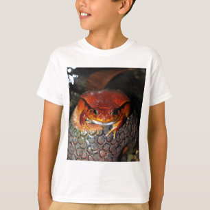 Camiseta Rana del tomate