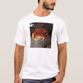 Camiseta Rana del tomate