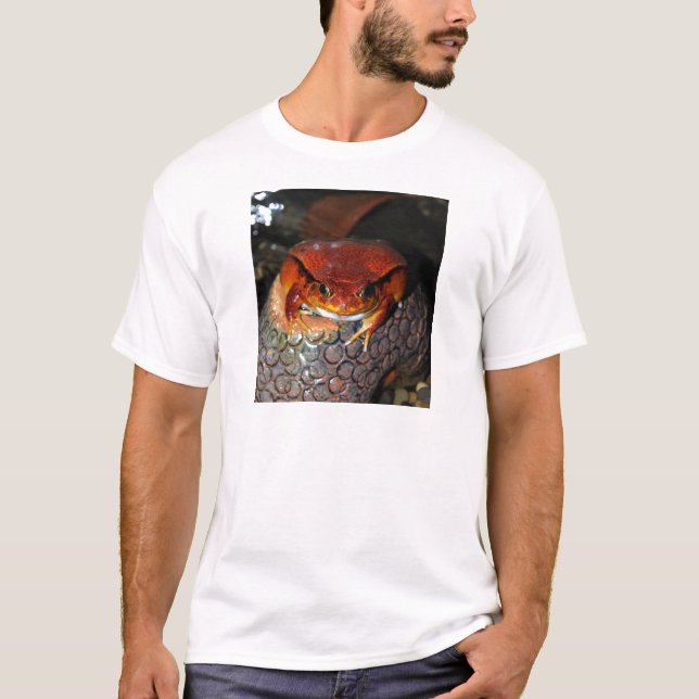 Camiseta Rana del tomate (Anverso)