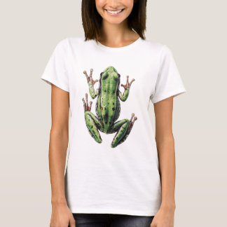 Camiseta Rana gateando