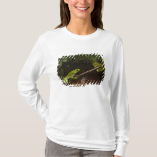 Camiseta Rana gigante de hoja (Phyllomedusa bicolor) 2