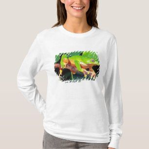 Camiseta Rana mono arborícola bicolor gigante, Phyllomedusa