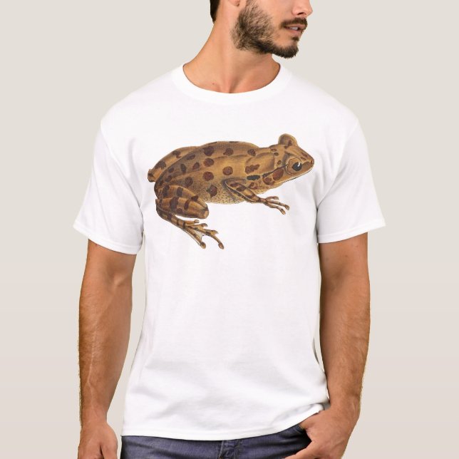 Camiseta Rana Reptile de Arte Natural Silvestre (Anverso)