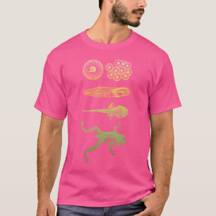 Camiseta Rana Tadpole Metamorfosis Biología del ciclo de vi