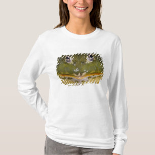 Camiseta Rana toro africana, Pyxicephalus