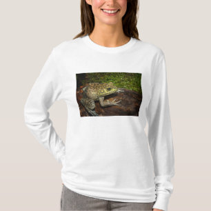 Camiseta Rana toro, Rana catesbeiana