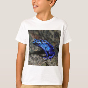 Camiseta Rana Veneno de Punta Azul, Rana Azul Brillante