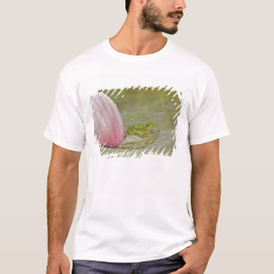 Camiseta Rana y pétalo de flor de loto, China,