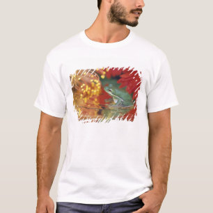 Camiseta Rana y reflejos entre flores. Créditos como: