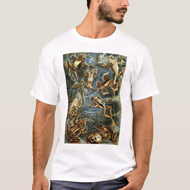 Camiseta Ranas de Batrachia por Ernst Haeckel (Anverso)