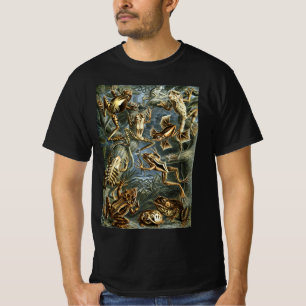 Camiseta Ranas y sapos antiguos Batrachia por Ernst Haeckel