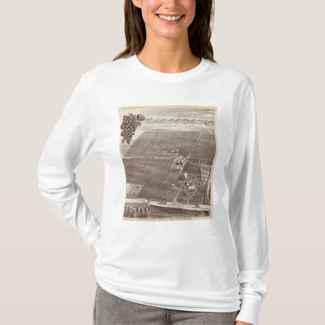 Camiseta Rancho de la fruta de Chapin (Anverso)