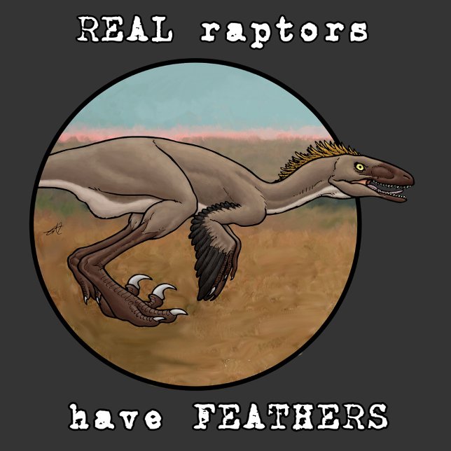 Camiseta Raptores reales (Subido por el creador)