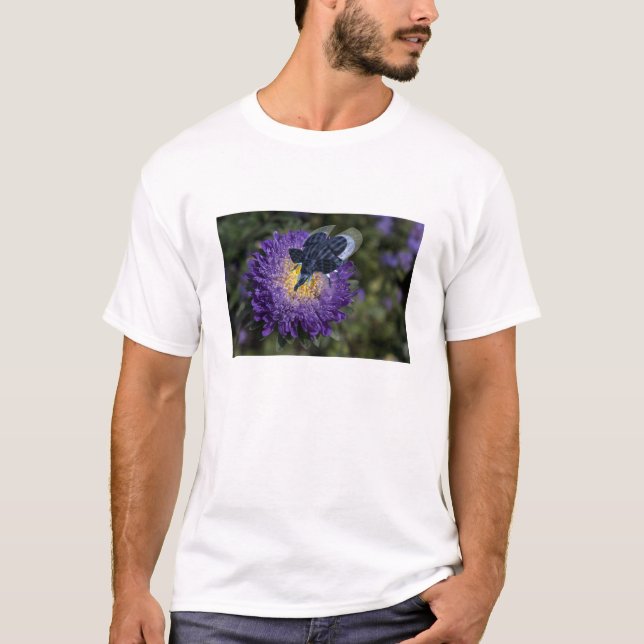 Camiseta Rara bicho de elefante azul (Anverso)
