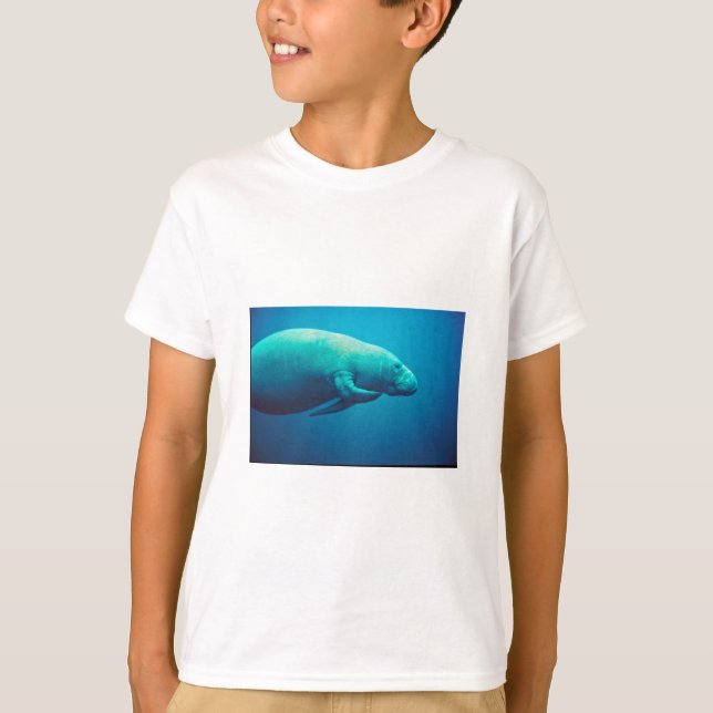 Camiseta Rasguño del Manatee (Anverso)