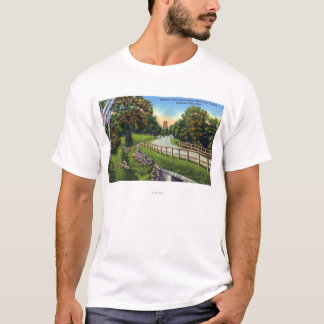 Camiseta Rastro del Mohawk que se acerca a la cumbre de