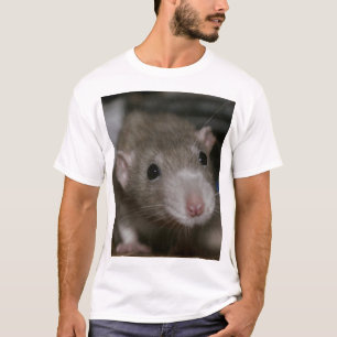Camiseta Rata curiosa