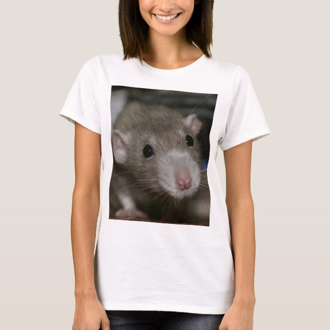 Camiseta Rata curiosa (Anverso)