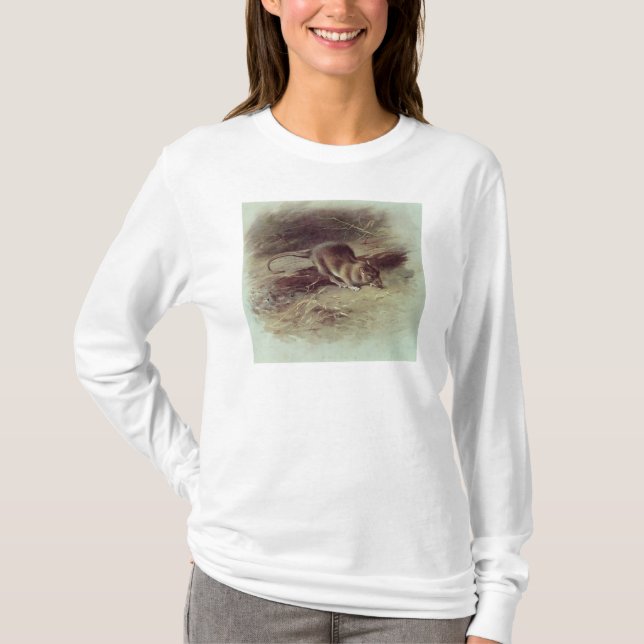 Camiseta Rata de Brown 1918 (Anverso)