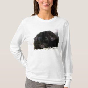 Camiseta Rata de Dumbo