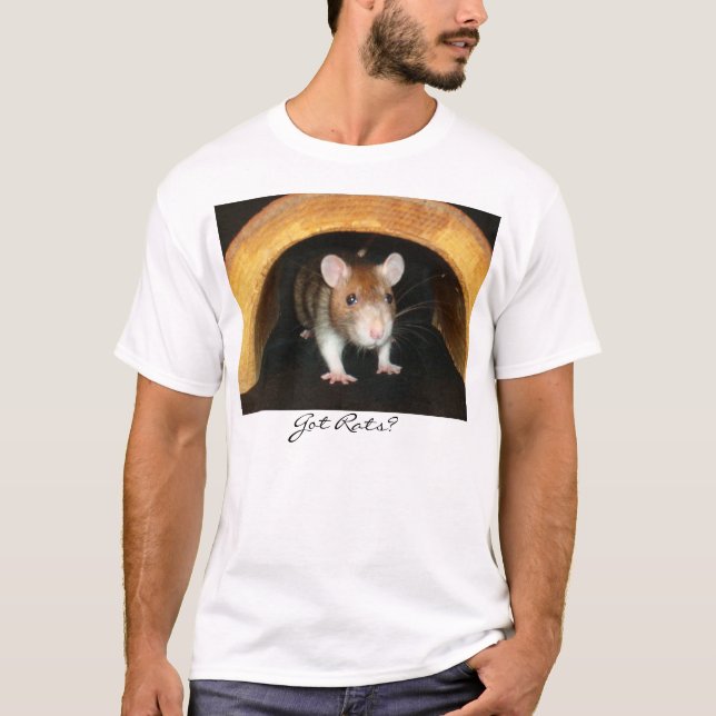 Camiseta Ratas conseguidas 2 (Anverso)