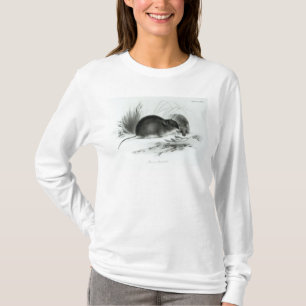 Camiseta Ratón, Tierra del Fuego, Suramérica c.1832-36