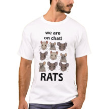 Rats Animal Estamos En Chat Rats Gratis