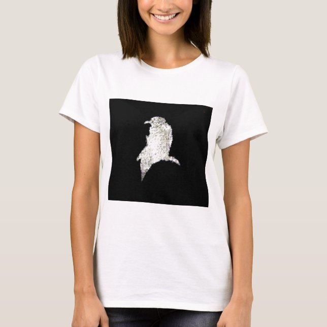 Camiseta Raven (Anverso)