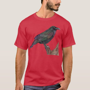 Camiseta Raven arcoiris TShirtRaven arcoiris