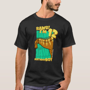 Camiseta Rawr, tengo 12 años, chicos, duodécimo cumpleaños,