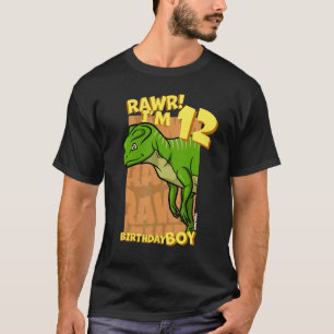 Camiseta Rawr, tengo 12 años, chicos, duodécimo cumpleaños,