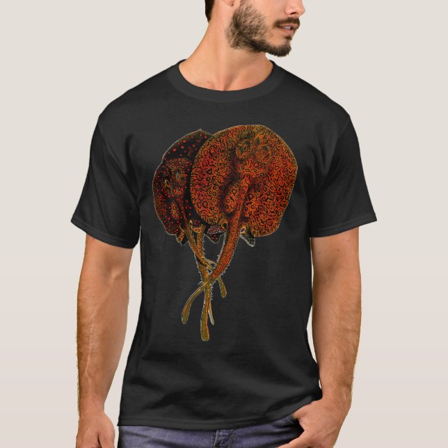 Camiseta Raya látigo Potamotrygon pez monstruo pez monstruo (Anverso)