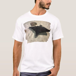 Camiseta Raya mística