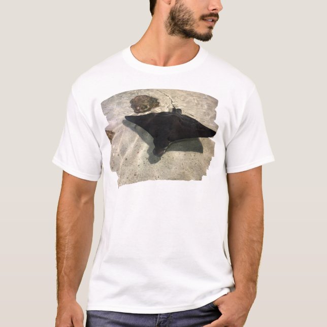 Camiseta Raya mística (Anverso)