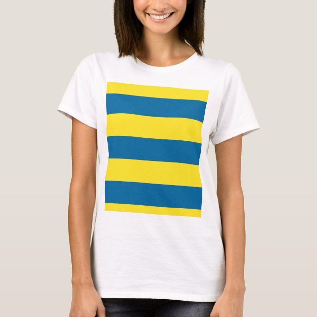 Camiseta Rayas | Azul y Amarillo | PERSONALIZABLE (Anverso)
