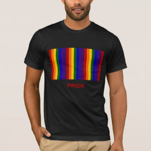 Camiseta Rayas del arco iris