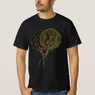 Camiseta Rayas látigos Stingrays, Animales de Vida Marina A