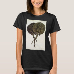 Camiseta Rayas Stingrays, Animales de la Vida Marina Vintag