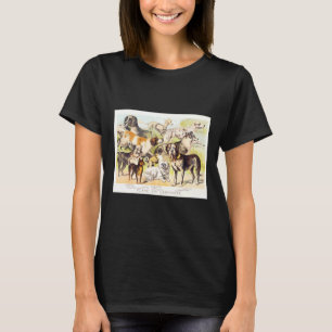Camiseta Razas de Perros Terrier Setter Pug Mastín Y Más Vi