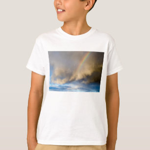 Camiseta rebelión del arcoíris