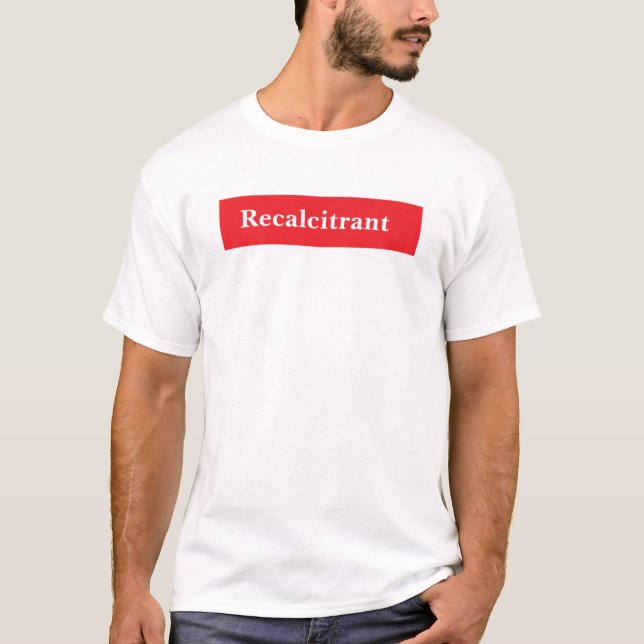 Camiseta Recalcitrante (Anverso)