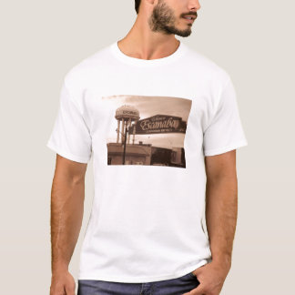 Camiseta Recepción a Escanaba