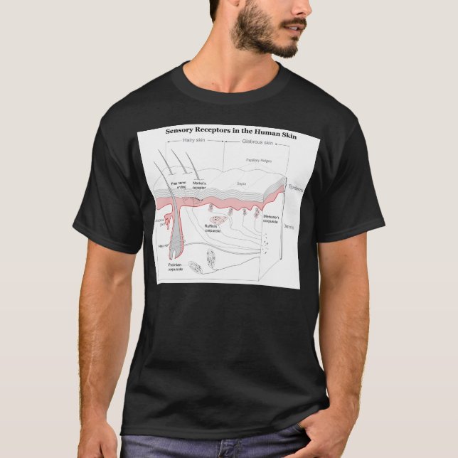 Camiseta Receptores sensoriales en el diagrama de la piel h (Anverso)