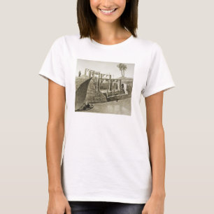 Camiseta Recolección de agua del Nilo, placa 6 de Volúmenes