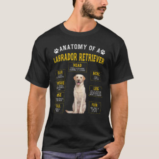 Camiseta Recuperador de anatomía de labrador para mujeres h