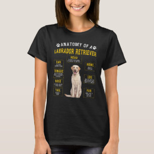 Camiseta Recuperador de anatomía de labrador para mujeres h