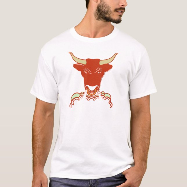 Camiseta Red Bull (Anverso)