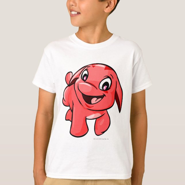 Camiseta Red de Pooogle (Anverso)