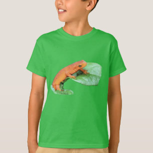Camiseta Red Eft Naranja Salamander Naturaleza