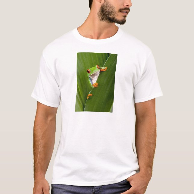 Camiseta Red eyed tree frog (Anverso)